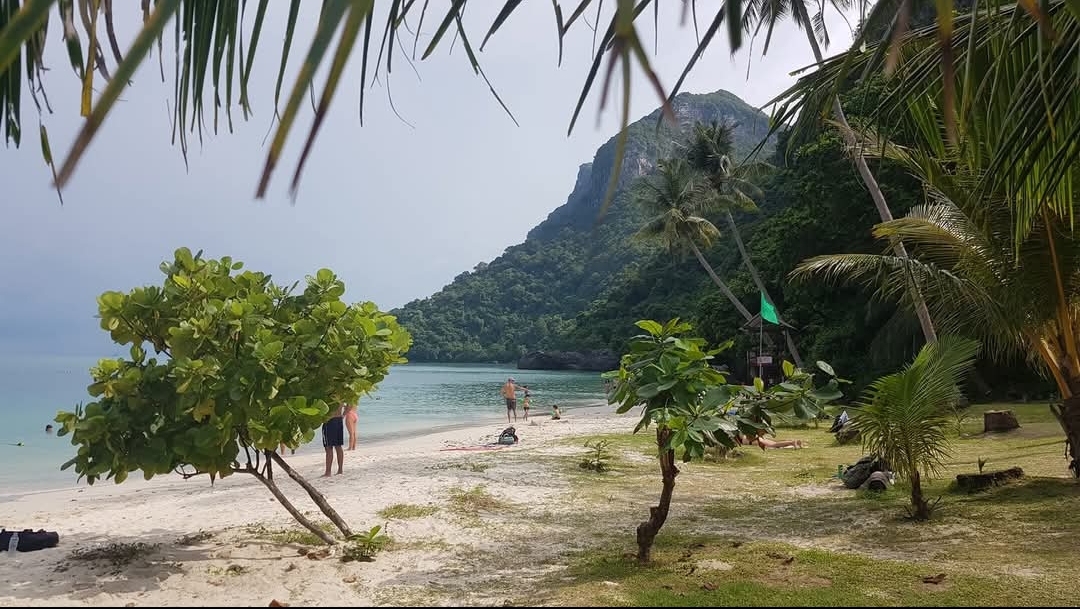 Startseite und Blog 50 Screenshot 20241215 152204 Facebook