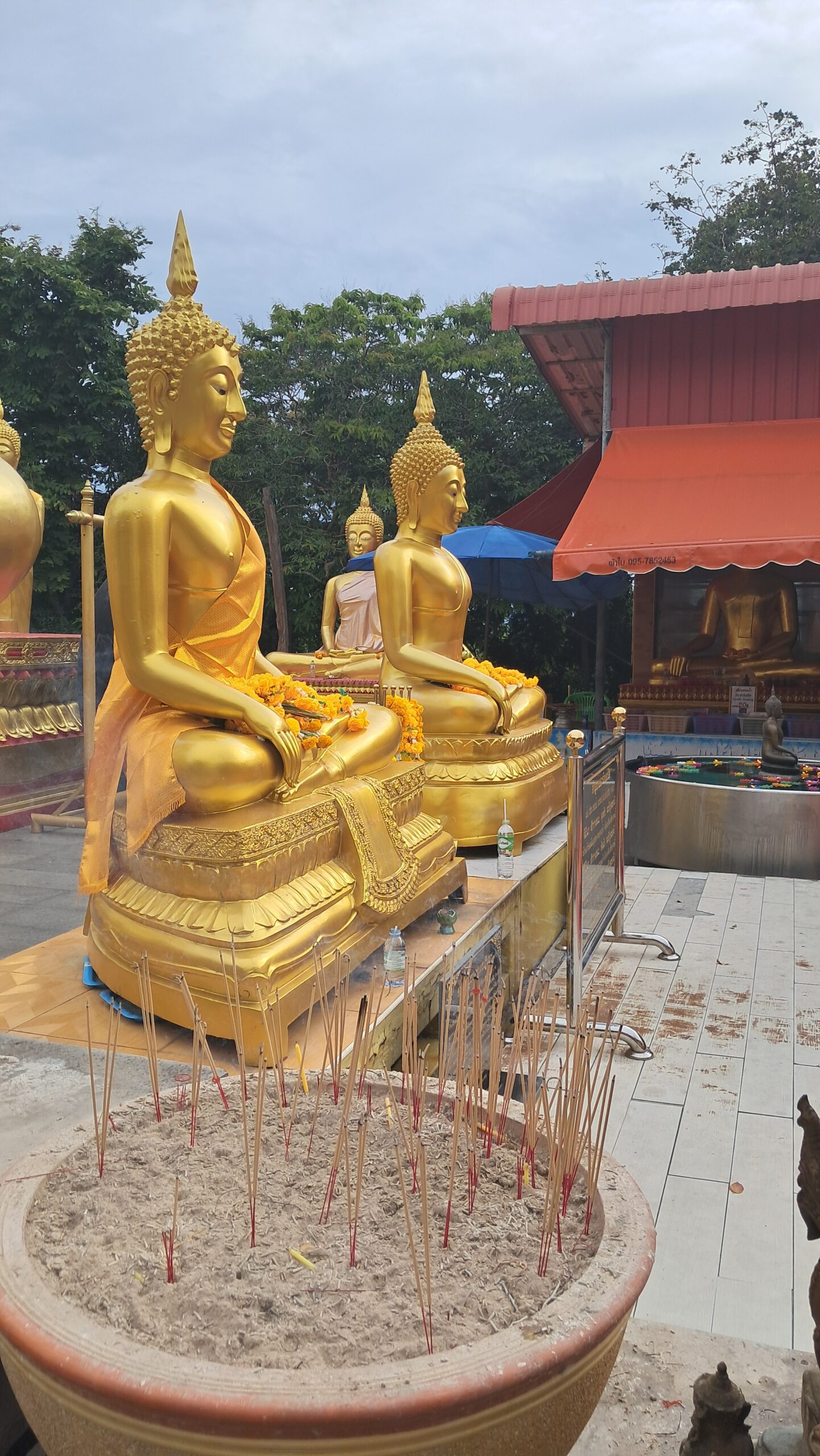 20240720 163748 scaled