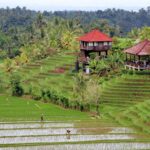 TOP Pauschal-DEAL: 14 Tage exklusive Bali Rundreise - Ubud, Ulawatu und Canggu inkl. Linienflüge ab Deutschland für unter 1300 Euro 2 Bali allgemein